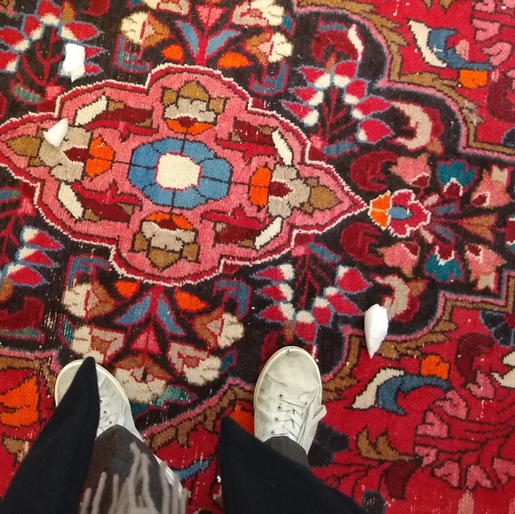 Meet your Posher, Shels - Picture 1 of 1